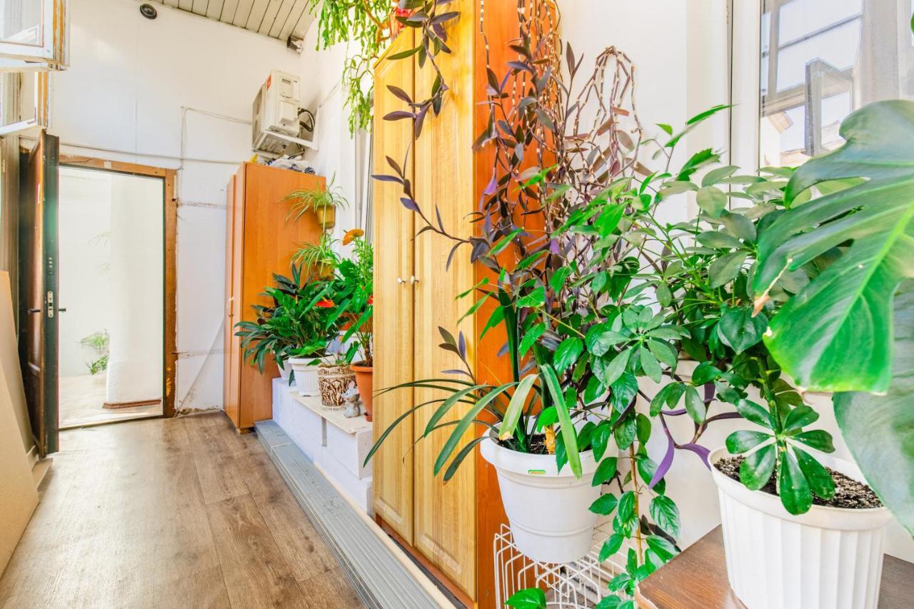 Best Apartment In The City Centre Odessa Ngoại thất bức ảnh